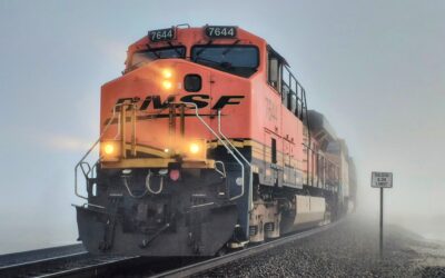 Winter Newsletter 2025
